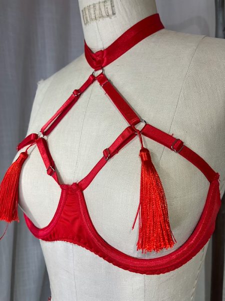 la boudoir miami vintage inspired red harness bra and panty set (1)