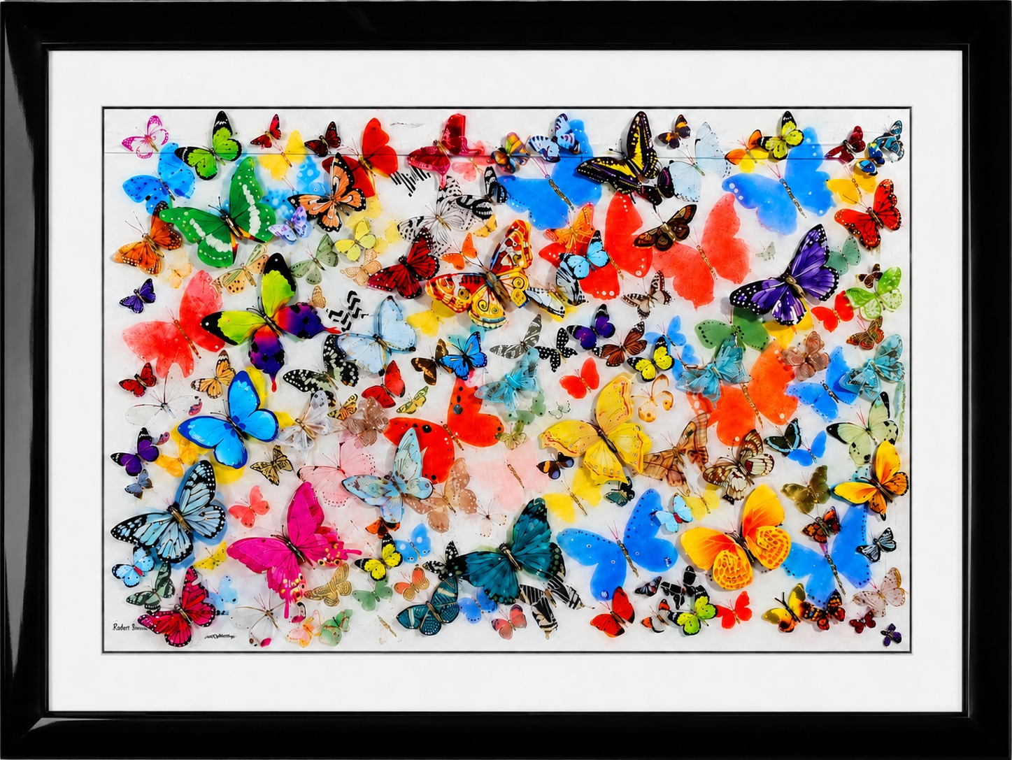 Butterflies of the World - Hand-Signed and Numbered Framed Limited Edition by Robert M. Swedroe