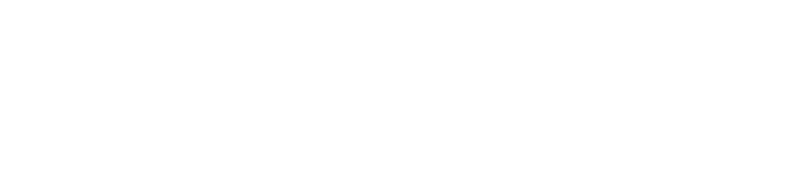 Asset-1@2×0-white.png