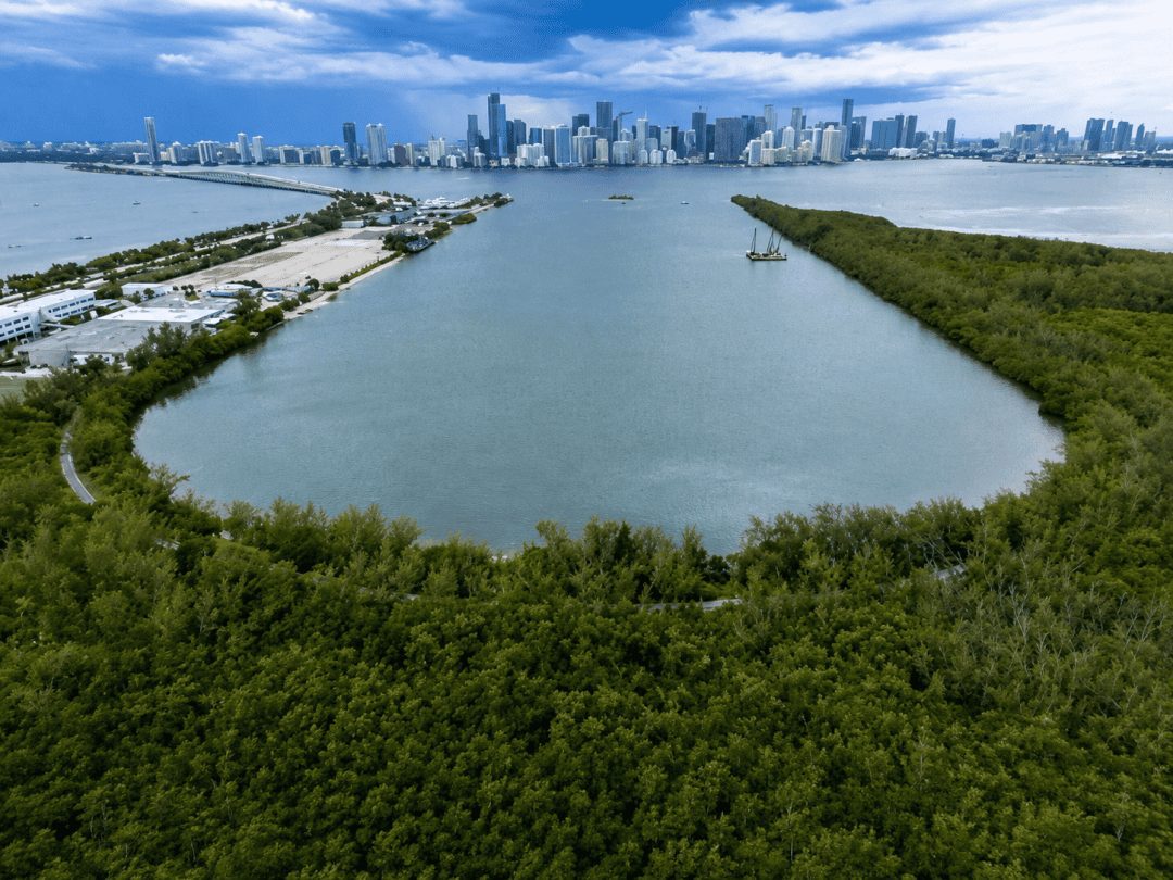 Virginia_Key_-_Mooring_Field
