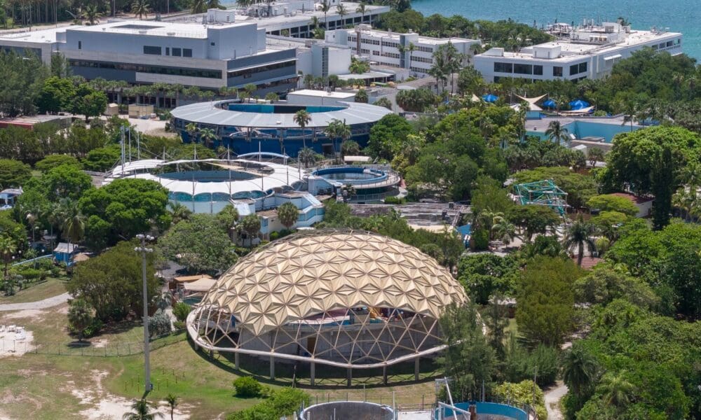 Miami-Seaquarium-WLRN-1000×600